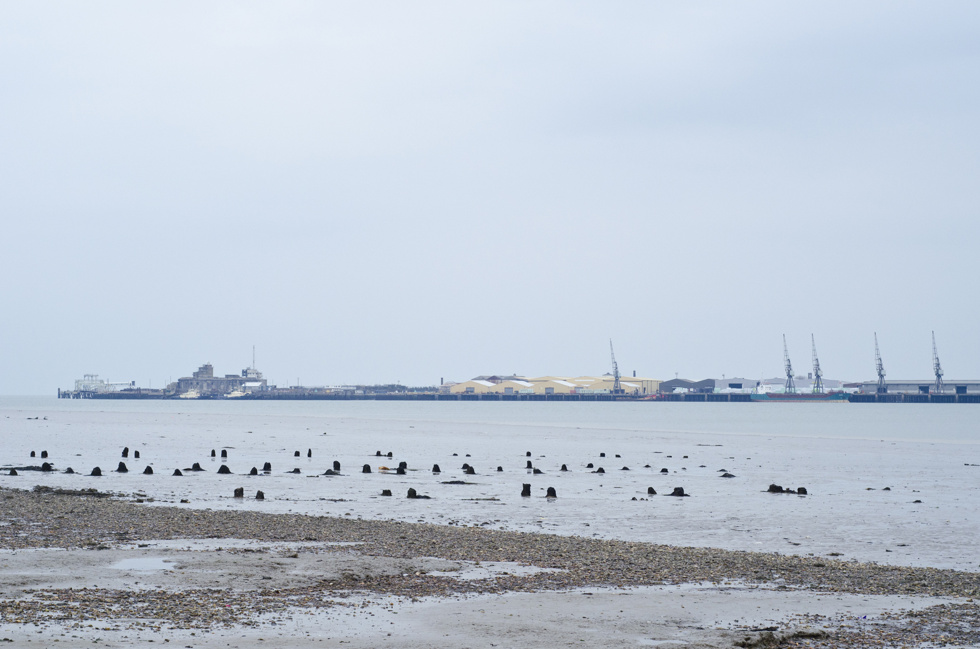 View of Sheppey from the Isle of Grain. Photograph: Matthew de Pulford, 2016